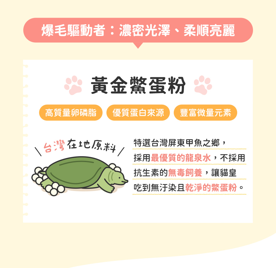 貓咪毛髮濃密爆毛重要成分：優質鱉蛋粉，富含爆毛營養素。